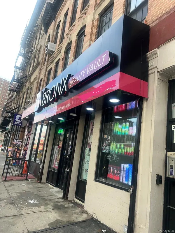256 East 138  Street, Bronx, NY 10451