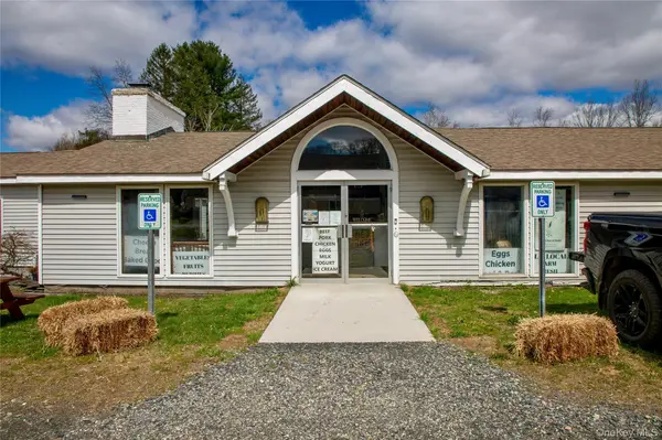 3815-3817 Route 44, Millbrook, NY 12545