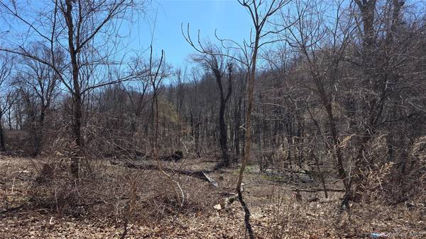 91 Barrett Hill RD, Carmel, NY 10512