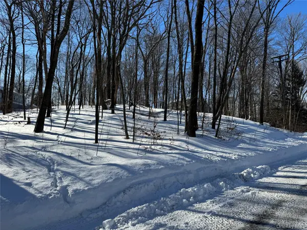 Lakeview DR, Pawling, NY 12564