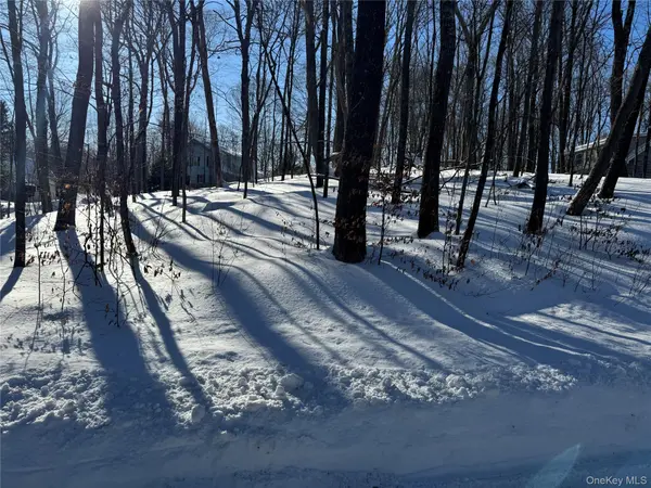 Lakeview DR, Pawling, NY 12564