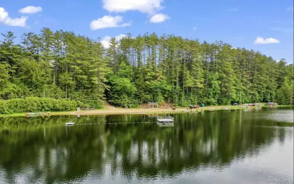 L173 Balsam Crest RD, Call Listing Agent, NY 12817
