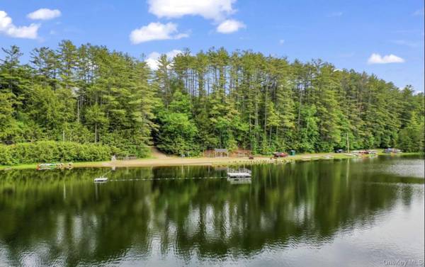 L173 Balsam Crest RD, Call Listing Agent, NY 12817
