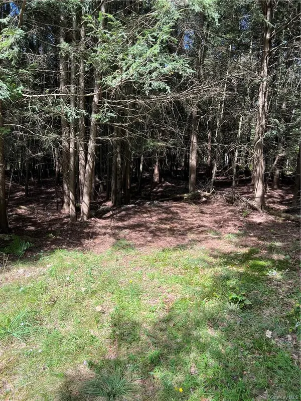 000 Cooper Drive RD, Kauneonga Lake, NY 12783