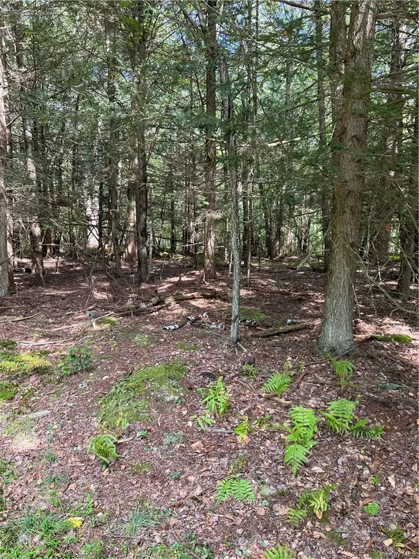 000 Cooper Drive RD, Kauneonga Lake, NY 12783