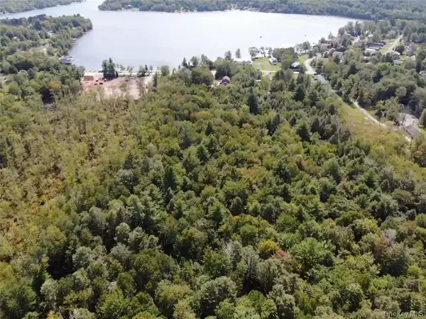 000 Cooper Drive RD, Kauneonga Lake, NY 12783
