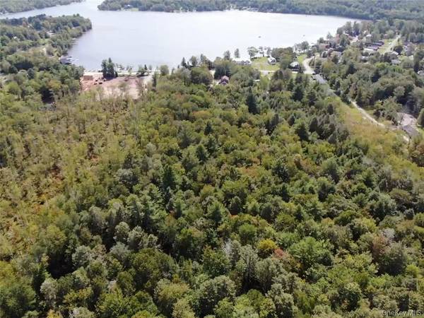 000 Cooper Drive RD, Kauneonga Lake, NY 12783