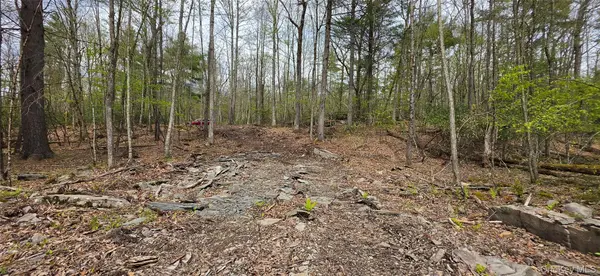 Lot 82 Perry Pond RD, Narrowsburg, NY 12764