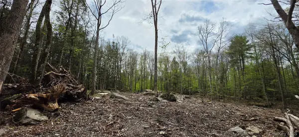 Lot 82 Perry Pond RD, Narrowsburg, NY 12764