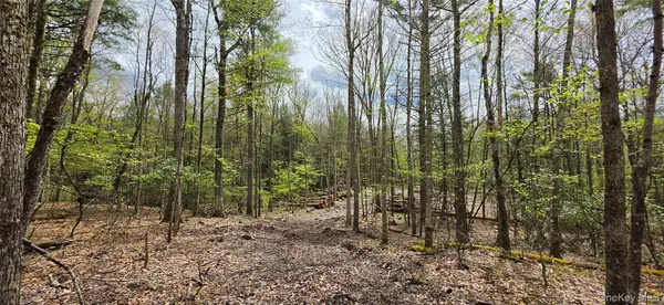 Lot 82 Perry Pond RD, Narrowsburg, NY 12764