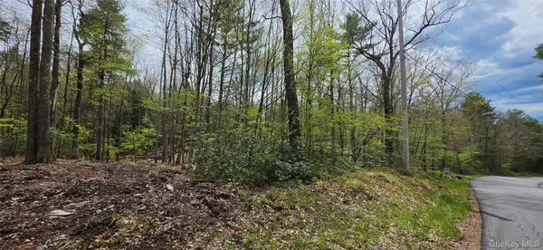 Lot 82 Perry Pond RD, Narrowsburg, NY 12764