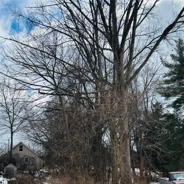 Between 229 and 231 Westchester AVE, Buchanan, NY 10511