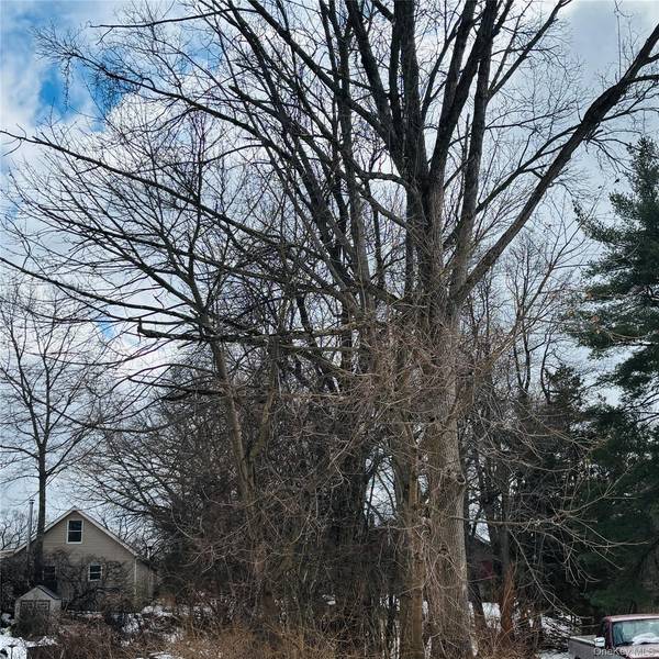 Between 229 and 231 Westchester AVE, Buchanan, NY 10511