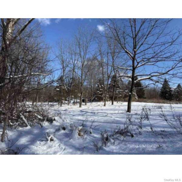Van Burenville RD, Middletown, NY 10940