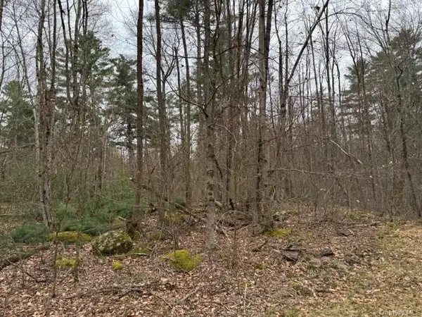 Lot 32 Woodstone TRL, Bethel, NY 12720