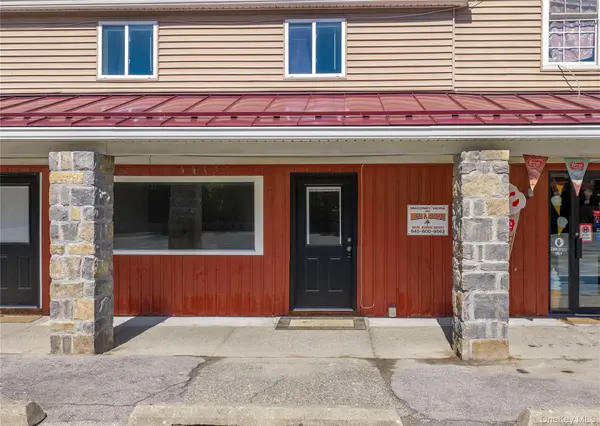 4789 Route 22 #3 SF, Amenia, NY 12501