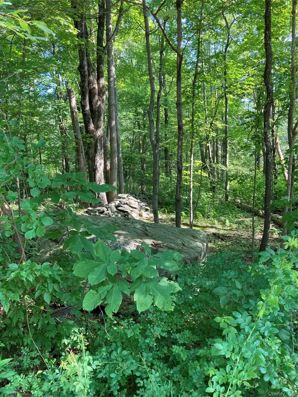 15 Adam Wagner LN, Mahopac, NY 10541