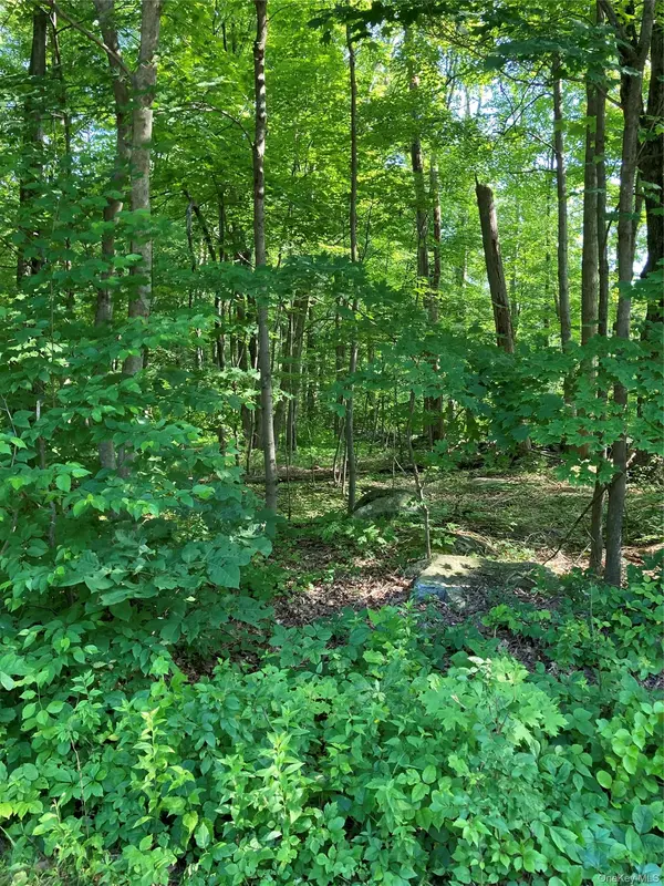 15 Adam Wagner LN, Mahopac, NY 10541