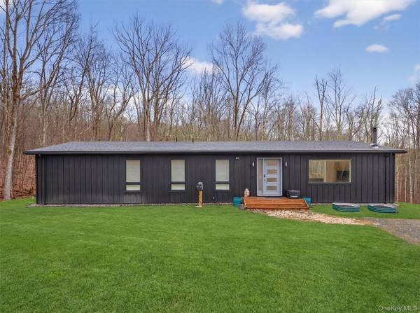 119 Lenni Lenape RD, Narrowsburg, NY 12764