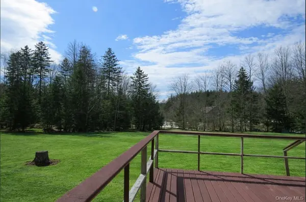 698 Cooley RD, Parksville, NY 12768