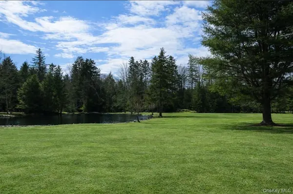 698 Cooley RD, Parksville, NY 12768