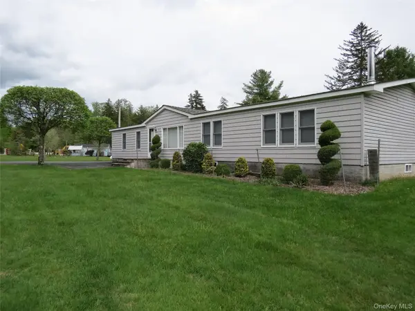 698 Cooley RD, Parksville, NY 12768