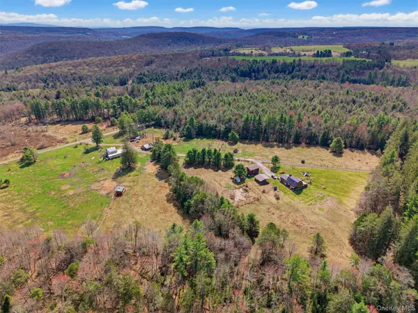 85 Lenape Lake RD, Livingston Manor, NY 12758