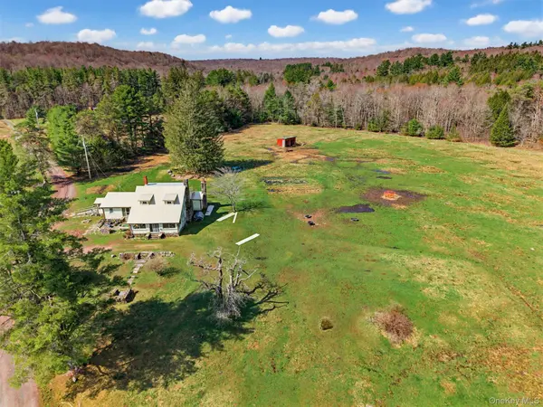 85 Lenape Lake RD, Livingston Manor, NY 12758