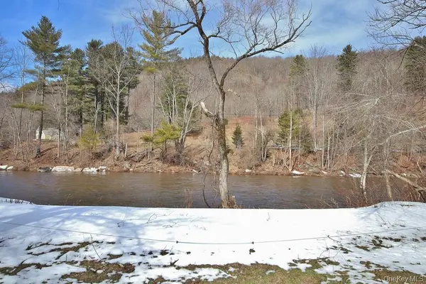 53 Yorktown RD, Roscoe, NY 12776