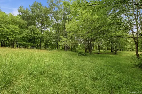California AVE, Liberty, NY 12754