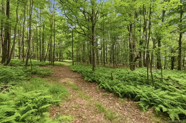 California AVE, Liberty, NY 12754