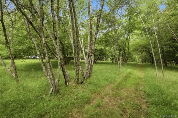 California AVE, Liberty, NY 12754