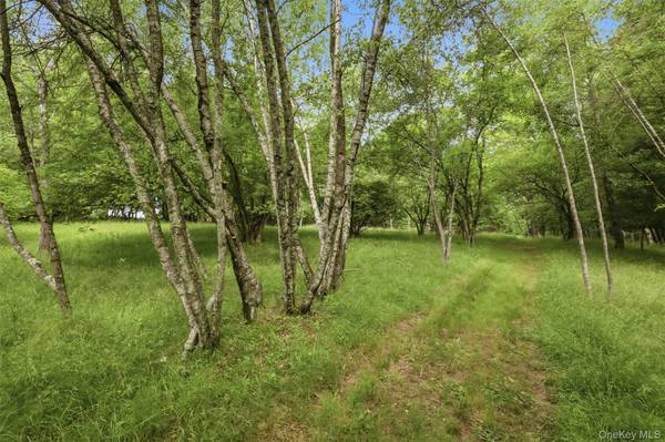 California AVE, Liberty, NY 12754