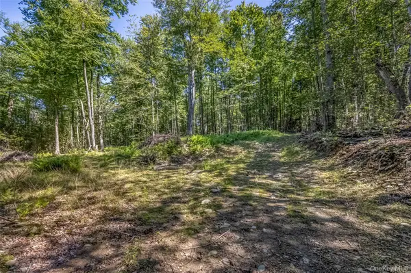 Camp RD, Ellenville, NY 12489