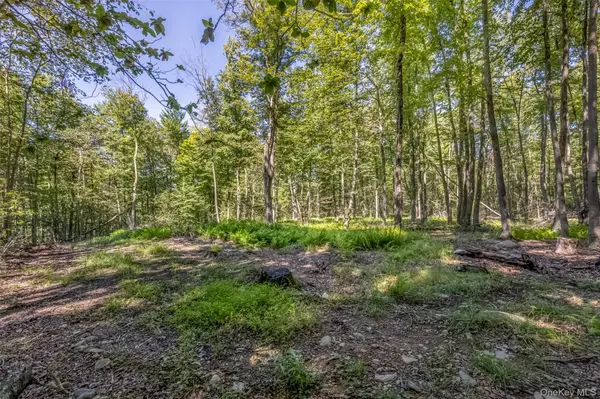 Camp RD, Ellenville, NY 12489