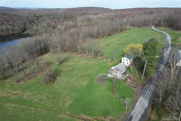 299-301 Stump Pond RD, Livingston Manor, NY 12758