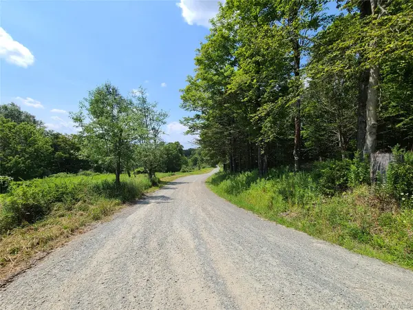 299-301 Stump Pond RD, Livingston Manor, NY 12758