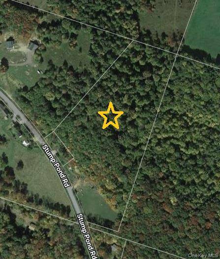 TBD Stump Pond RD, Livingston Manor, NY 12758