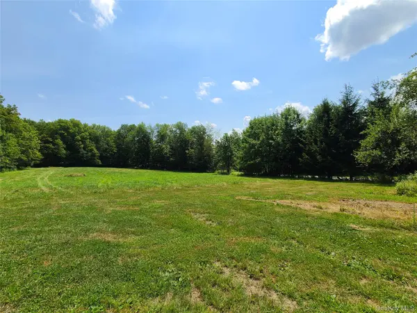 TBD Stump Pond RD, Livingston Manor, NY 12758