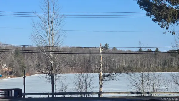 1122 State Route 52, Loch Sheldrake, NY 12759