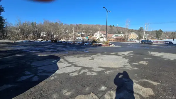 1122 State Route 52, Loch Sheldrake, NY 12759
