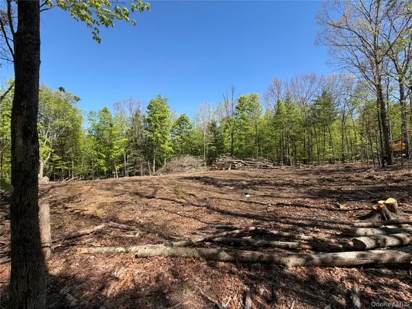 93 York RD, Bloomingburg, NY 12721