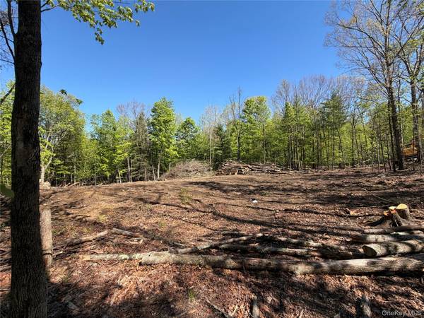 93 York RD, Bloomingburg, NY 12721