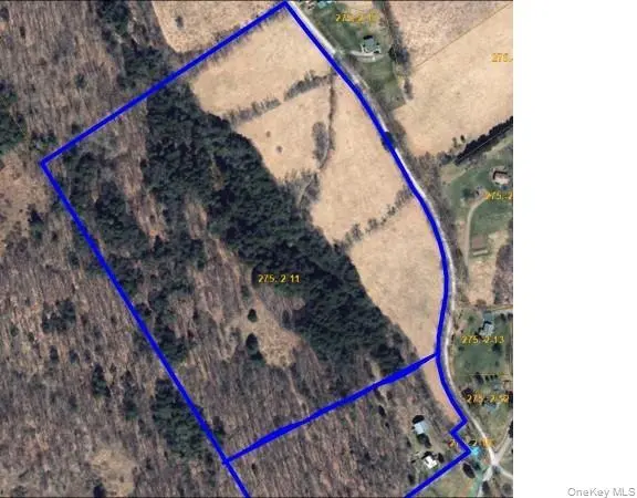 275-1-11 Budine Hill RD, Walton, NY 13856