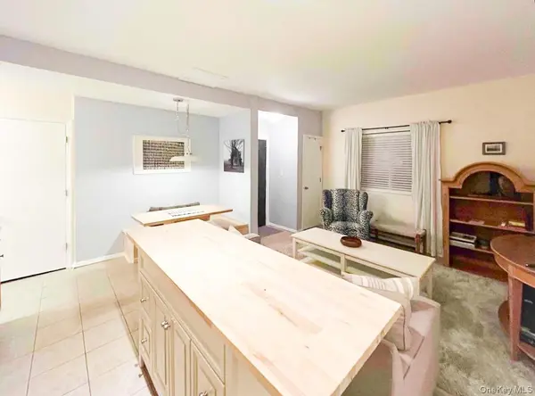 23 Pearl ST #4, Livingston Manor, NY 12758