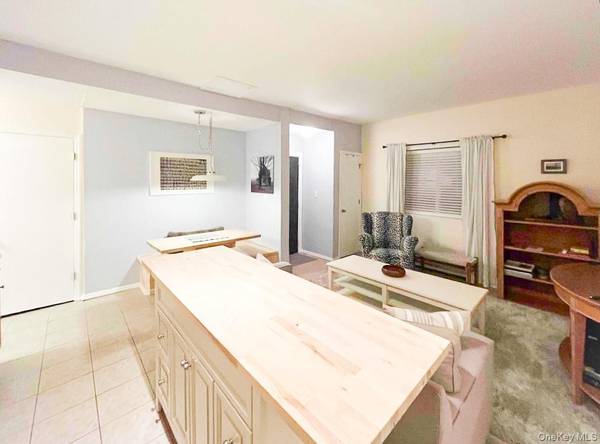 23 Pearl ST #4, Livingston Manor, NY 12758