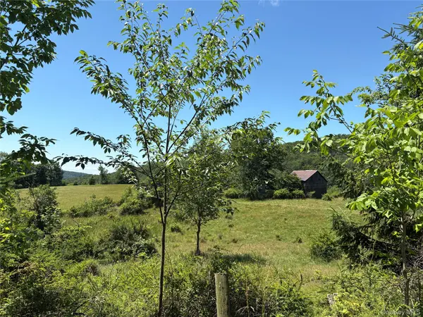 14 Frelich Rd/T R 28, Fremont Center, NY 12736