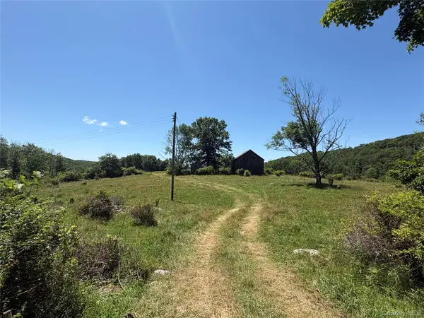 14 Frelich Rd/T R 28, Fremont Center, NY 12736