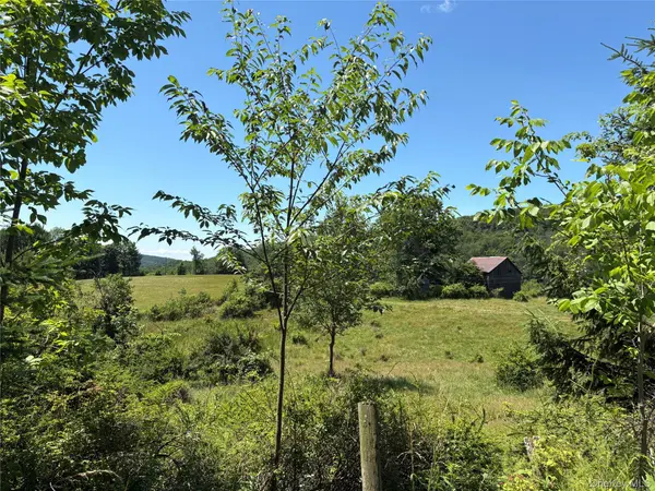 14 Frelich Rd/T R 28, Fremont Center, NY 12736