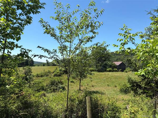 14 Frelich Rd/T R 28, Fremont Center, NY 12736